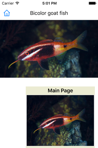 Encyclopedia of Fish screenshot 3