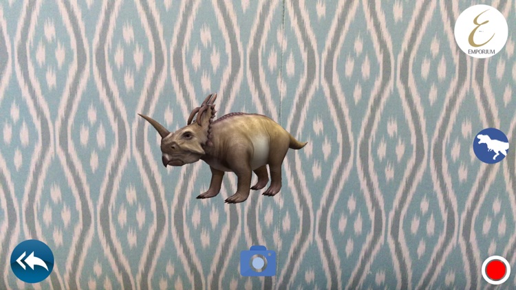 EM District AR screenshot-4