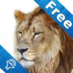 Animal sounds and pictures, hear jungle sound in Kids zoo, Petting zoo with real images and sound app icon