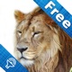 Animal sounds and pictures, hear jungle sound in Kids zoo, Petting zoo with real images and sound app icon - Education app for iPhone