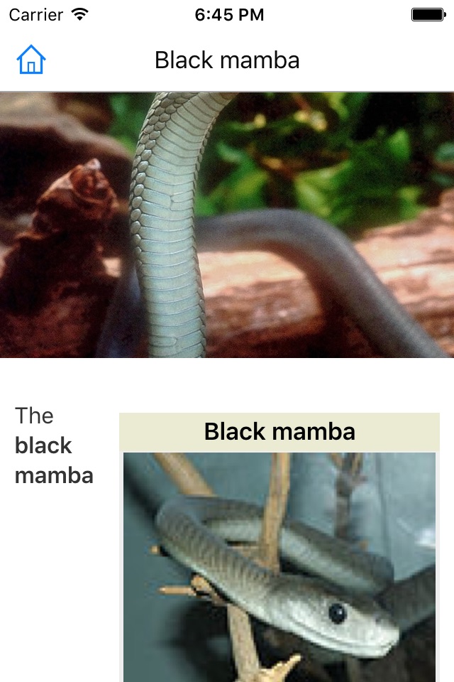 CHI Encyclopedia of Snakes screenshot 3