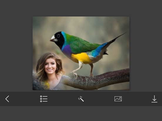 Bird Photo Frames - Creative Frames for your photo iPad screenshot 4 - Photo & Video app