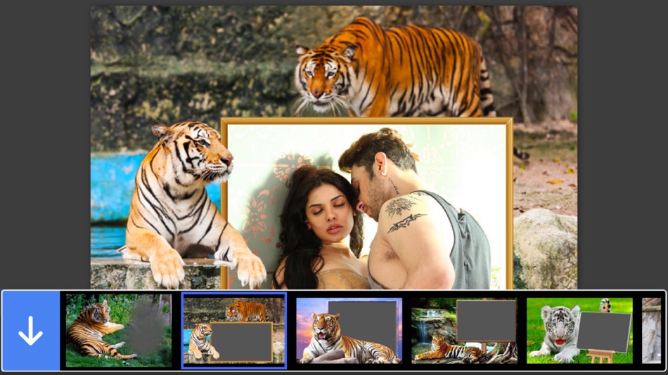 Tiger Photo Frame - Great and Fantastic Frames for your photo - 1.0 - (iOS)