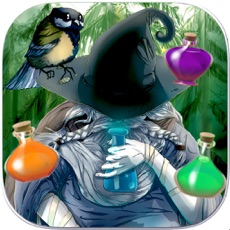 Activities of Forest Alchemy: Lost Chronicles - Puzzle Adventure Game