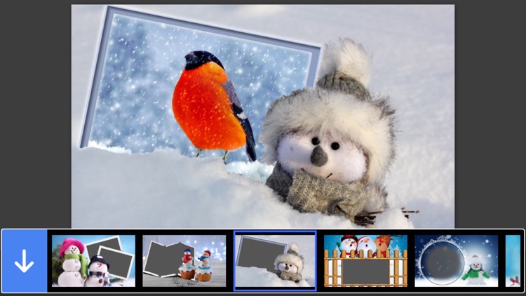 Snow Photo Frame - Art Photography & mega Frames