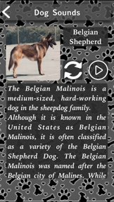 Barking Dog Sounds screenshot