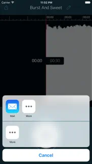 wiretap riff recorder iphone resimleri 4