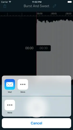 WireTap Riff Recorder iPhone Ekran Görüntüsü 4