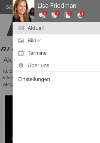 B&S Blech mit System screenshot 2