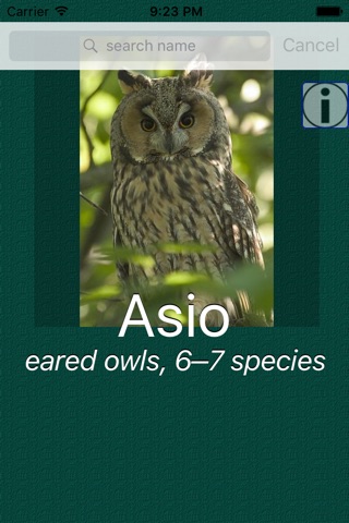 Owl Dictionary screenshot 2