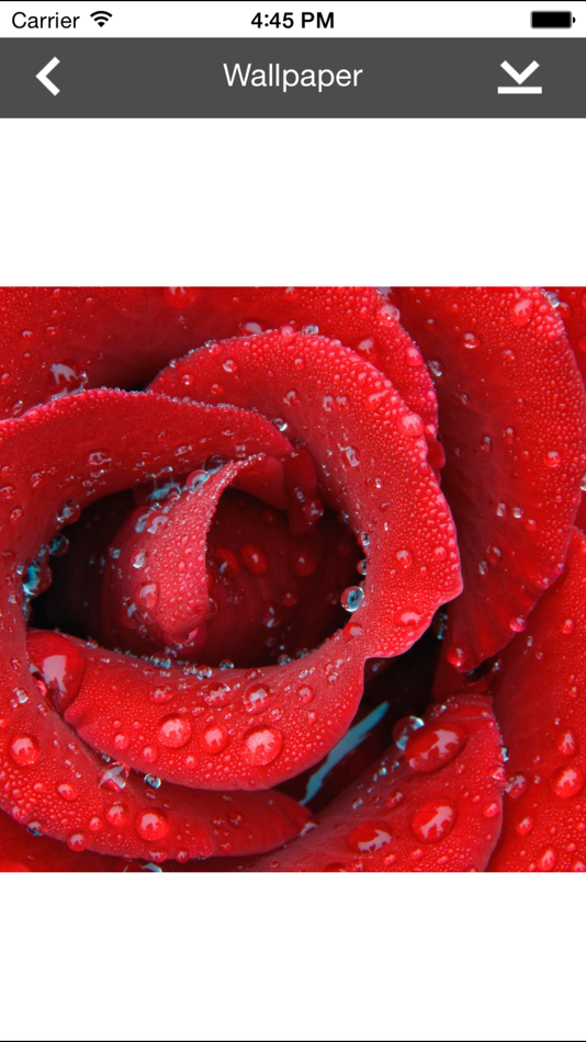 #5. Wallpaper Collection Macro Edition (iOS) 由: Nitrio