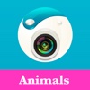 Camera Animal 360 - Photo Editor