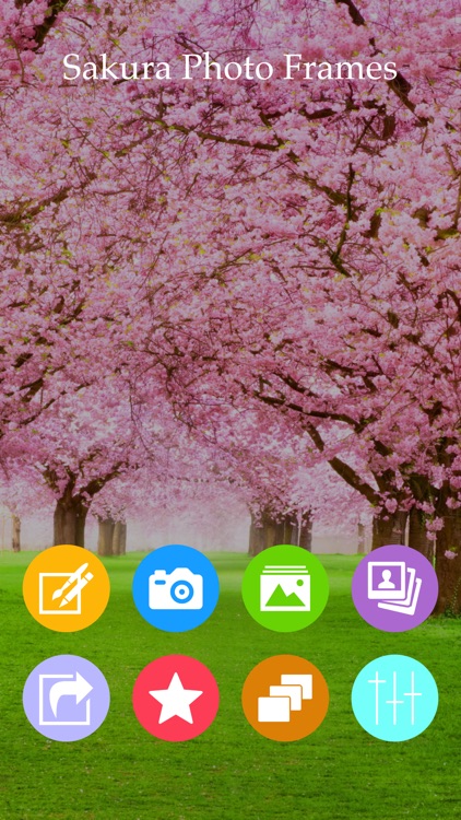 Sakura Photo Frames