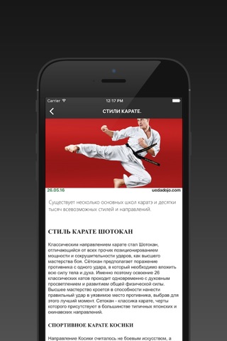 Karate Reality screenshot 4