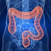 Colorectal:The Truth About the Leading Role of Fiber in Diet Failure, Constipation, Hemorrhoids