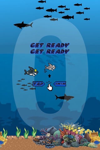 Swim Flappy Shark screenshot 3