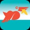 Fly over a lake and choose the right moment for catching fish