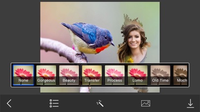 Screenshot #3 pour Bird Photo Frames - Creative Frames for your photo
