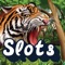 Jungle Cat Slots - Play Free Casino Slot Machine!