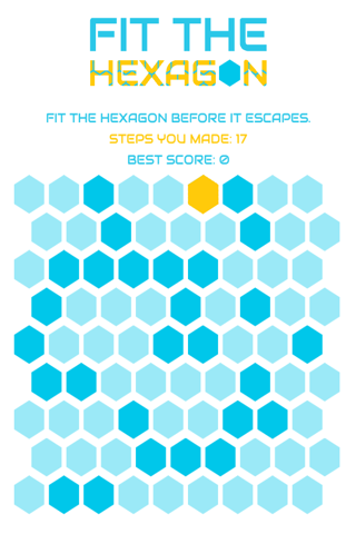 Fit The Hexagon screenshot 2