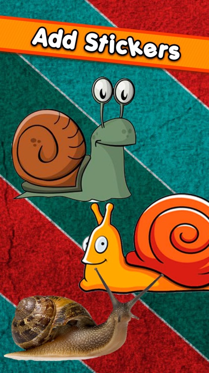 Snail Sticker Turbo  - funny stickers, masks, effects, memes and frames for your photos