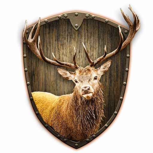 Head Shot: Deer Hunt iOS App
