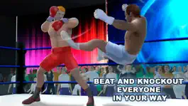 Game screenshot Real Punch Box Fighting 3D apk