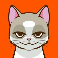 Activities of Cat Puncher