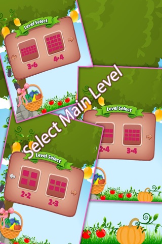 Match Cards Fruits & Veggies screenshot 2