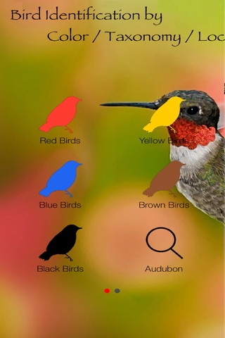 Bird Identification by Color - Ornithology Guide for Northeastern U.S. Bird Watching + Bird Sounds/Songs screenshot 3