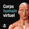 Corps humain virtuel - iPadアプリ