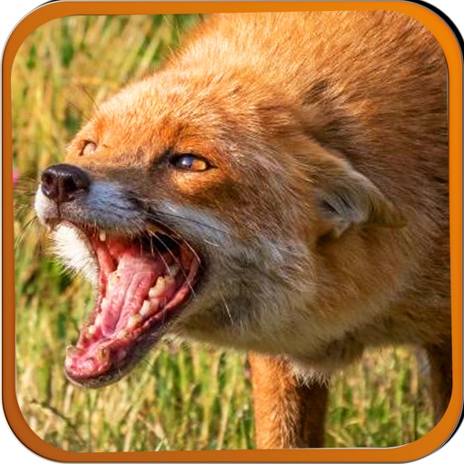 2016 Wolf Attack Rescue Pro icon