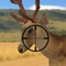 Deer Hunting - free DeerHunter and Deer Hunt Games