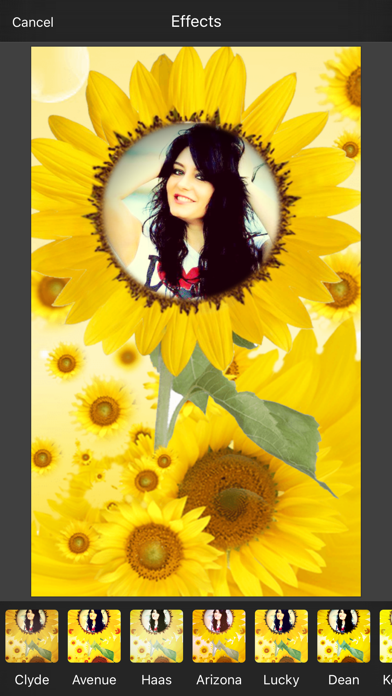 Screenshot #3 pour Sunflower Photo Frame
