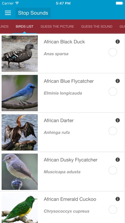 African Birds and Sounds