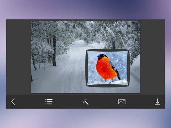 Snow Photo Frame - Art Photography & mega Frames iPad screenshot 4 - Photo & Video app