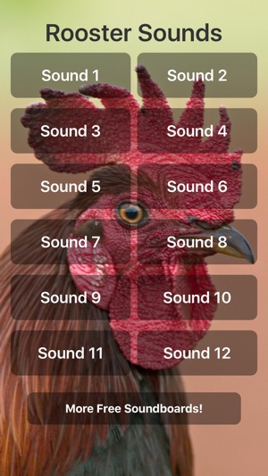 Rooster Sounds(圖1)-速報App