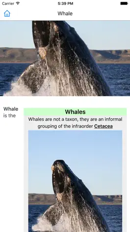 Game screenshot CHI Encyclopedia of Whales apk