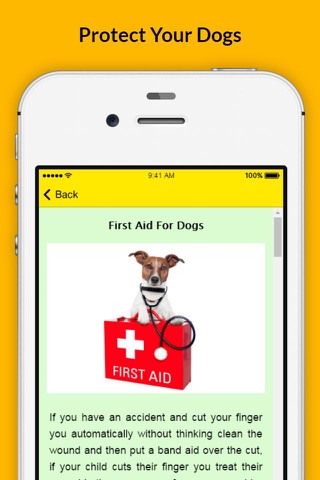 Pet First Aid - Responsibilities of a Pet Owner screenshot 4