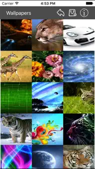 Wallpapers Collection Premium iphone bilder 0