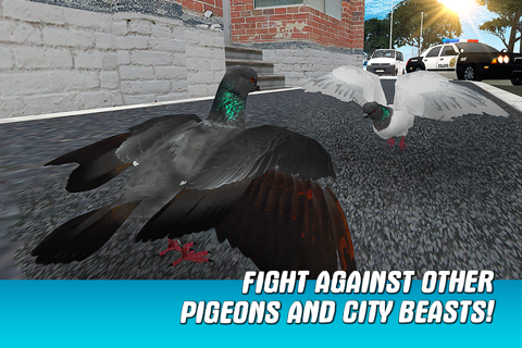 City Pigeon Simulator 3D screenshot 2