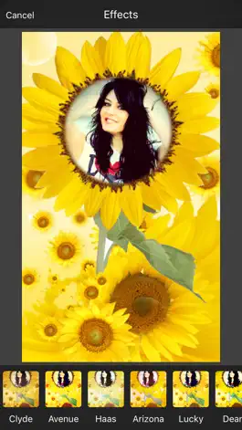 Game screenshot Sunflower Photo Frame hack