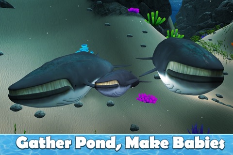 Big Blue Whale Survival 3D Full - Try whale simulator, be ocean animal! screenshot 2