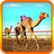 Camel race 2016 game