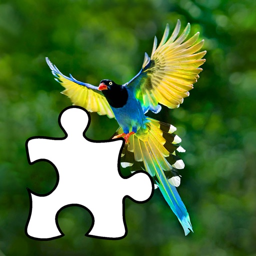 Encyclopedia Birds iOS App
