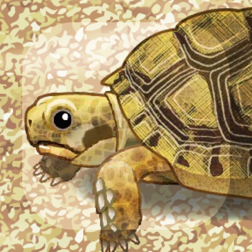 Tortoise Aquarium Free iOS App