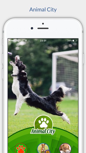 Animal City(圖3)-速報App