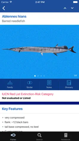 Game screenshot Fishes: Greater Caribbean hack