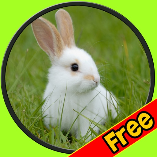 exceptionnal rabbits for kids free icon