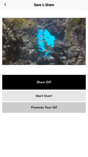 Giffel - Animated Gif Maker - for YouTube(圖4)-速報App